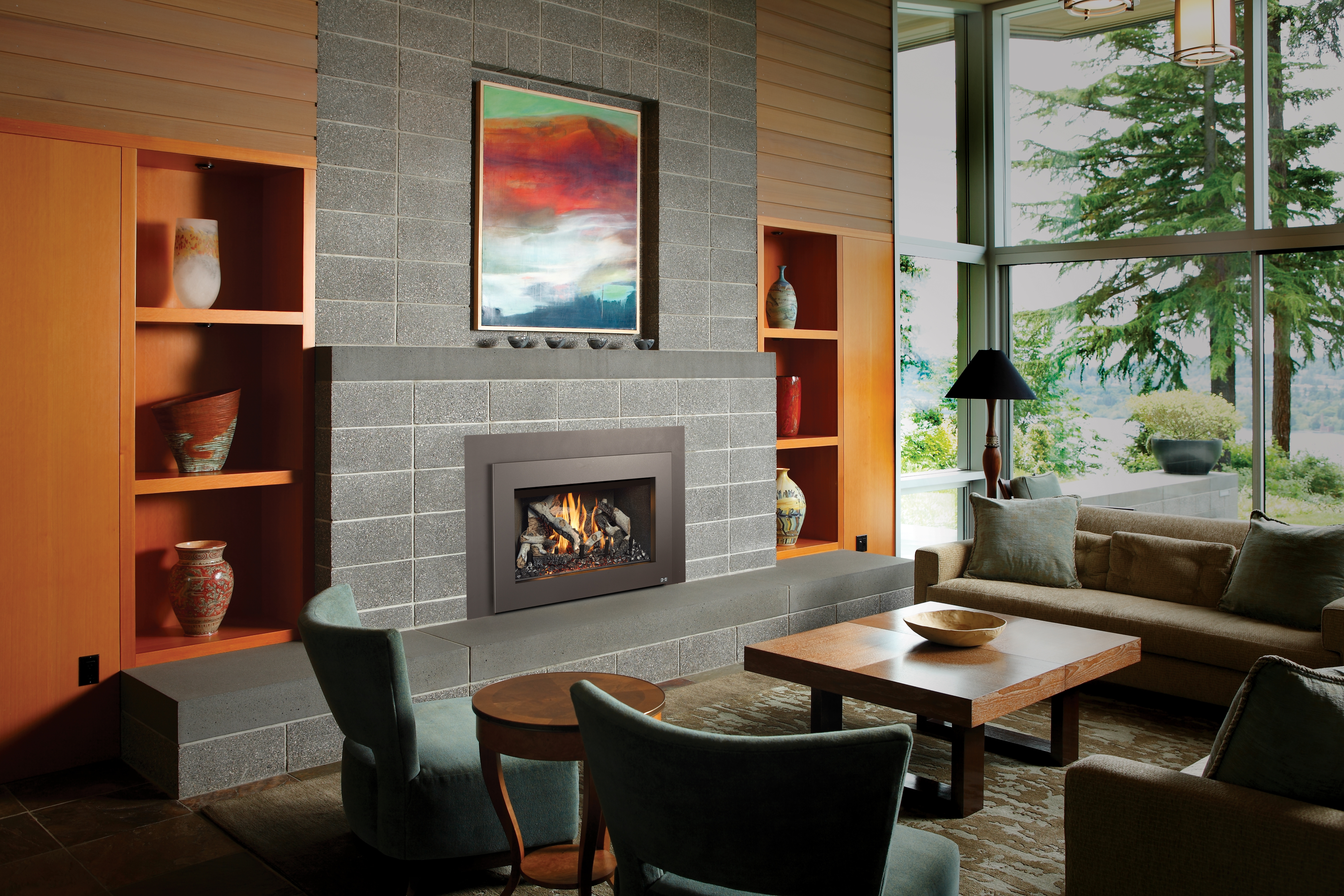 FireplaceXtrordinair DVL