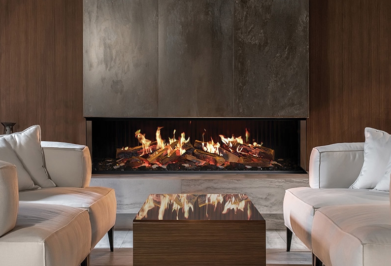 Da Vinci Holographique